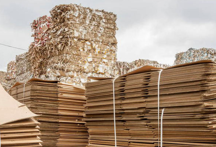 造纸行业防腐剂案例